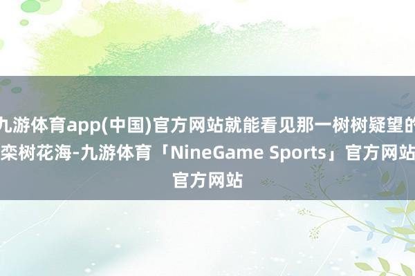 九游体育app(中国)官方网站就能看见那一树树疑望的栾树花海-九游体育「NineGame Sports」官方网站