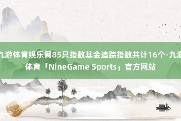 九游体育娱乐网85只指数基金追踪指数共计16个-九游体育「NineGame Sports」官方网站