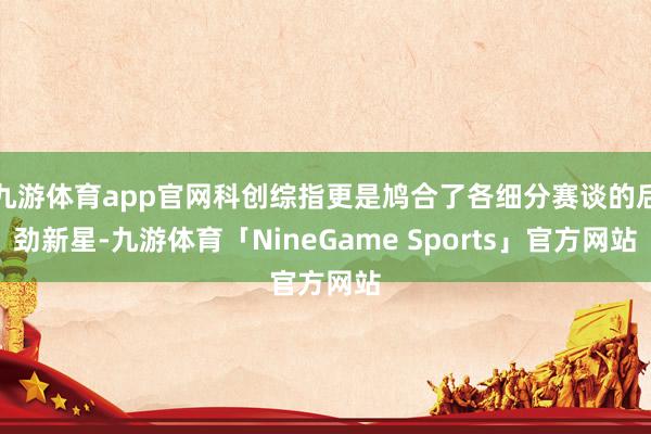 九游体育app官网科创综指更是鸠合了各细分赛谈的后劲新星-九游体育「NineGame Sports」官方网站